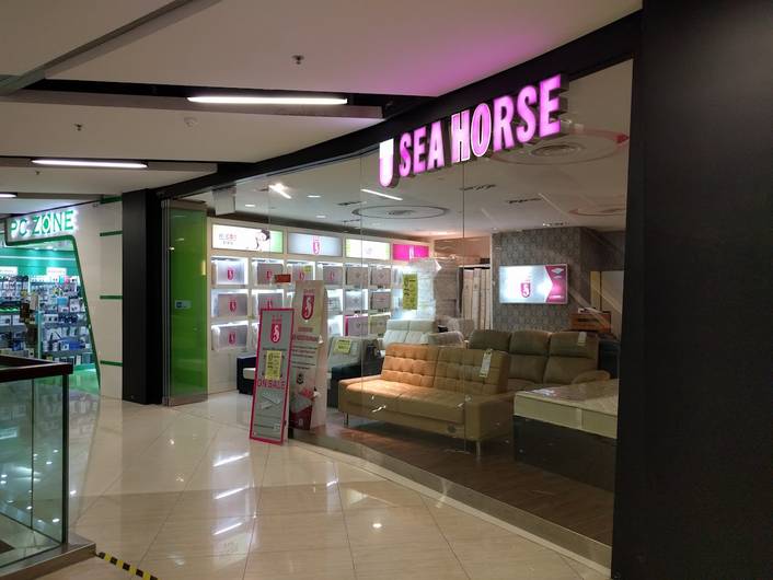 Sea Horse at Causeway Point