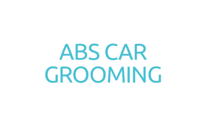 ABS Car Grooming at HarbourFront Centre
