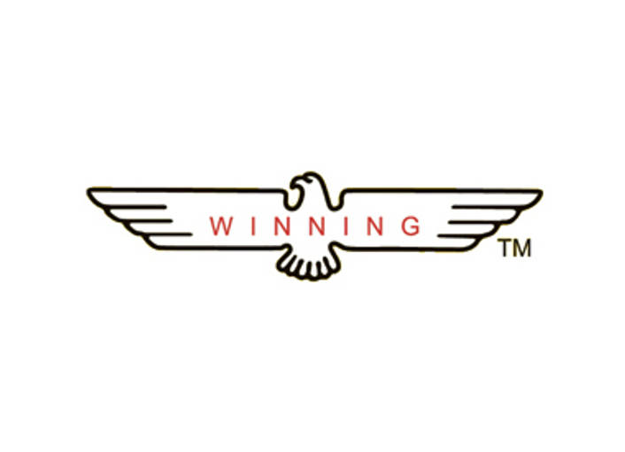 Winning Marketing logo