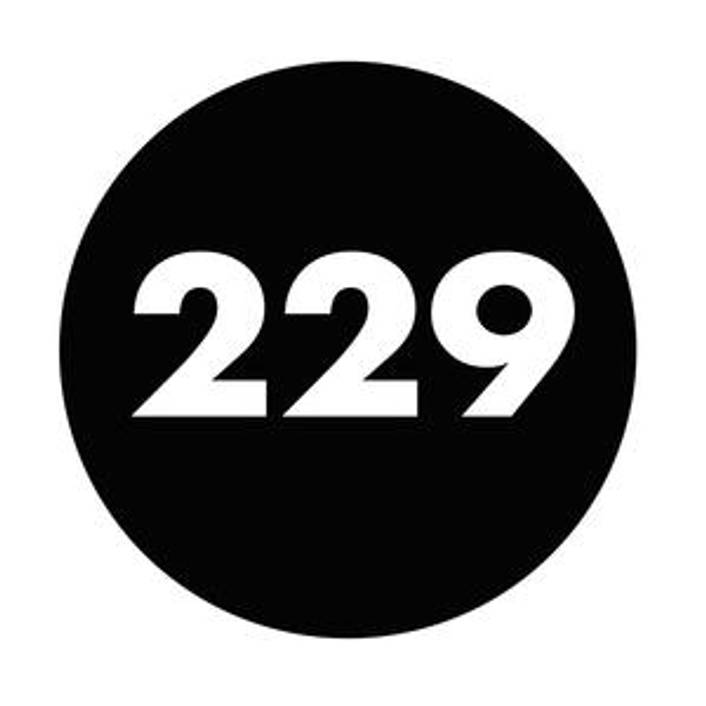 229 logo