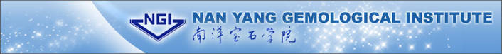 Nan Yang Gemological Institute logo