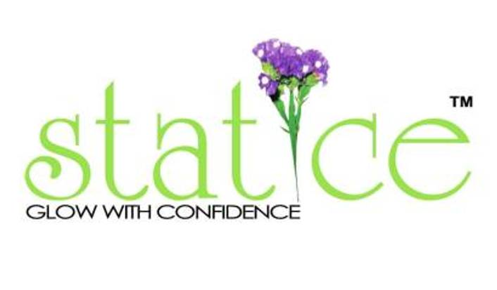 Statice Spa logo