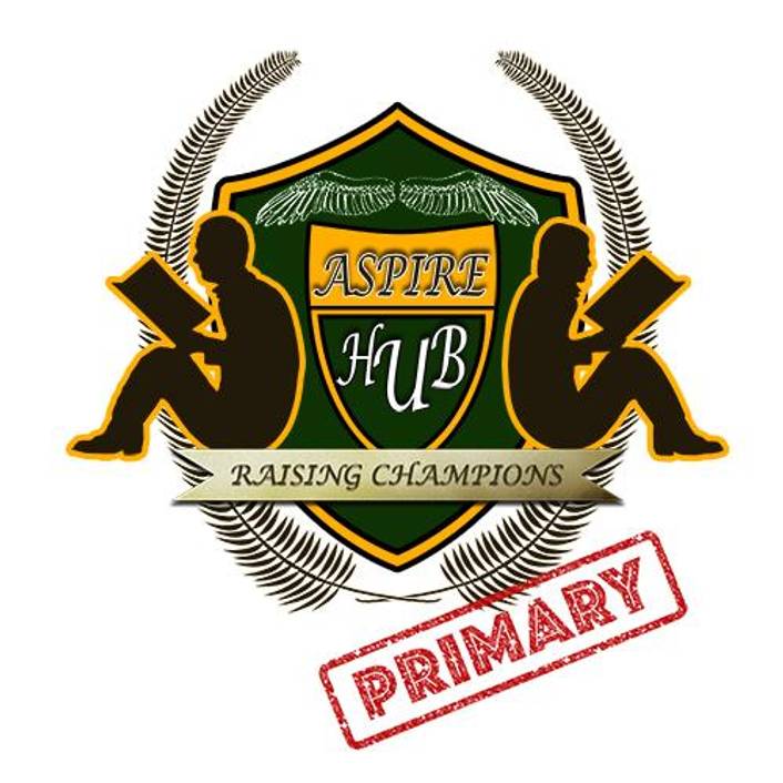 ASPIRE HUB PRIMARY logo