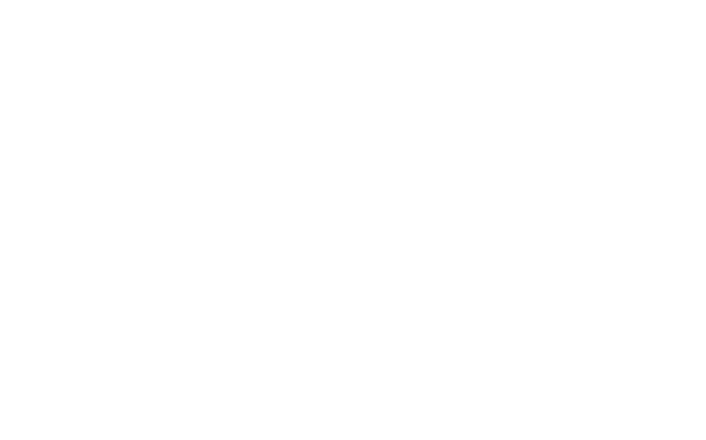Victoria Face Lift logo